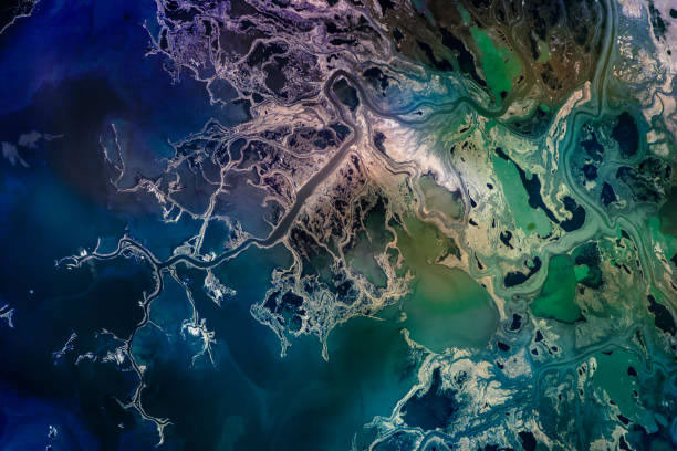satellite view, river delta